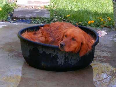 Keeping cool
